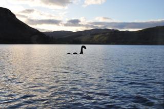 Potwór z Loch Ness jest żółwiem! Naukowcy ujawniają