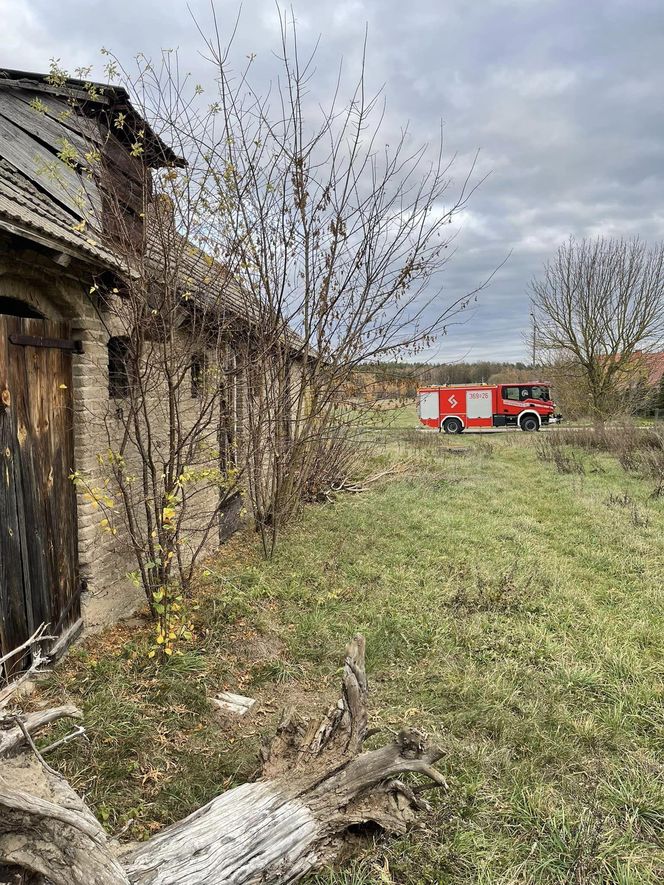 Poszukiwania zaginionej 27-letniej Karoliny Karpińskiej z Cydzyna