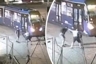 Wepchnął motorniczego pod tramwaj, bo skończył kurs. Jest wideo z brutalnego ataku!