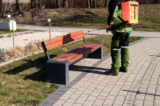 Katowice walczą ze skutkami epidemii koronawirusa 