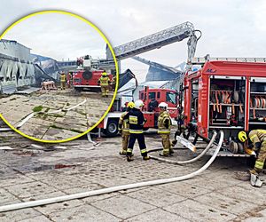 Pożar kurnika. Padło 38 tysięcy sztuk drobiu