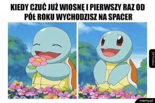 Wiosna 2025: Memy opanowały internet! Zobacz najzabawniejsze memy na powitanie wiosny [21.03.2025]