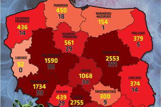 Koronawirus w Polsce i na świecie - 5.05.2020. godz. 10.30