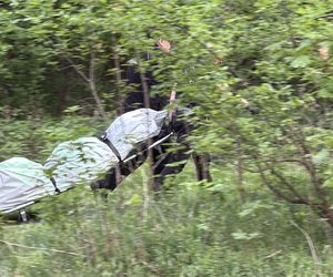  Tragedia w Wielkanoc. W Wiśle znaleziono dryfujące ciało
