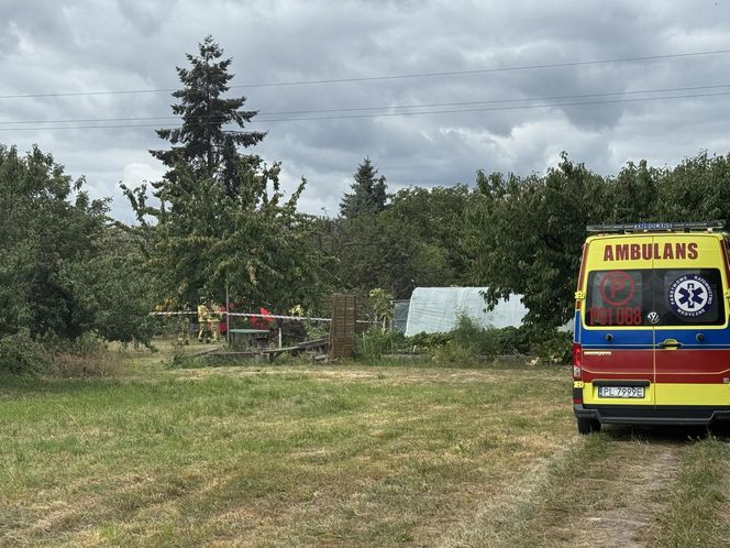 Wypadek awionetki w Krzycku Wielkim
