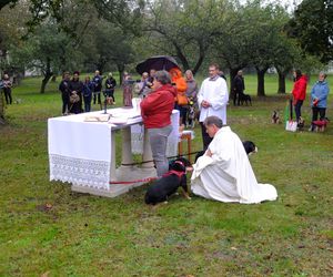 Z psem na mszę, czyli wyjątkowe nabożeństwo w Puławach. To są nasi mniejsi bracia