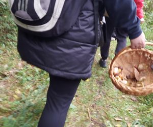 56. Rajd Rydz na patelni