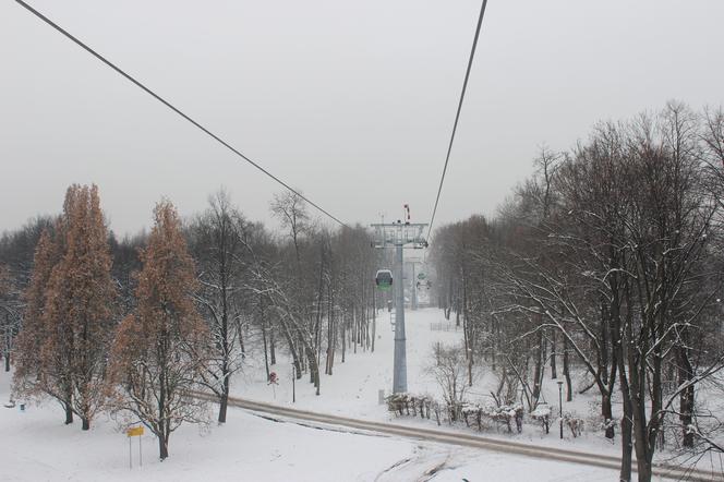 "Elka" w Parku Śląskim. Widok z góry