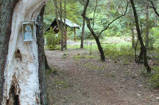 Opuszczona wieś Bonów