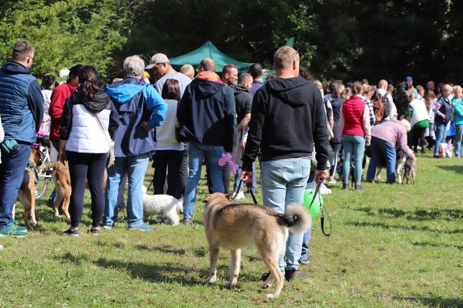 IX Piknik Przyjaciół Schroniska w Toruniu