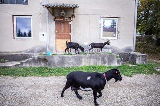 Pierwsze urodziny małego Stefanka