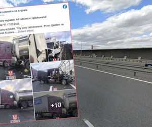 Wypadek na A8. Zderzyły się dwa tiry i dwa busy, ruch wstrzymany