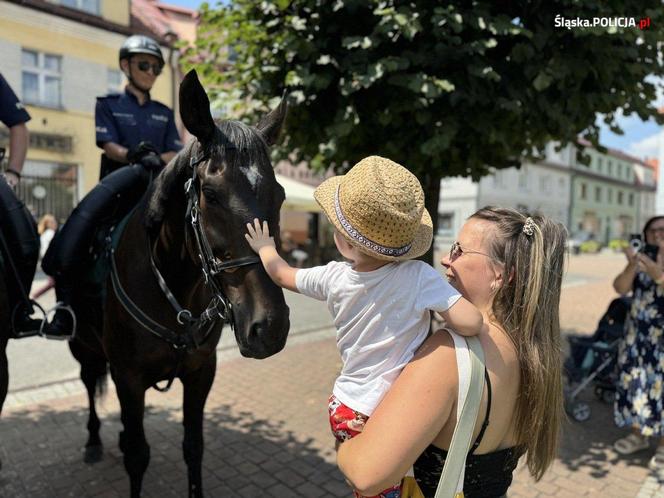 Wojewódzkie Obchody Święta Policji w Żorach 2024