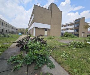 Tornado przeszło przez Buffalo