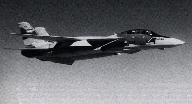 F-14 Tomcat