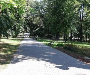 Lato w Parku Strzeleckim w Tarnowie 