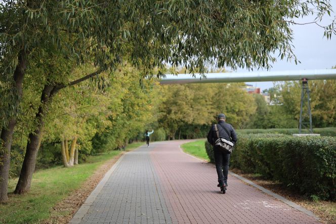 Jesienna odsłona terenów nad Bystrzycą w Lublinie. Tak się prezentuje w październiku