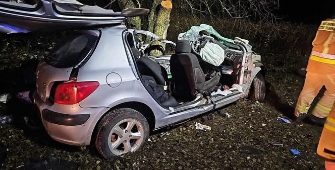 Świętokrzyskie: 16-latek zabrał rodzicom kluczyki od auta. Podróż zakończył na drzewie