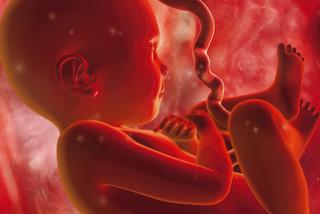 Co wiesz o rozwoju dziecka w brzuchu?