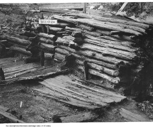 Opolscy historycy chcą przeprowadzić nowe badania archeologiczne na Ostrówku