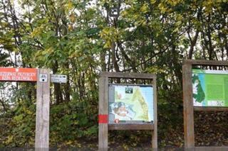 TOP 10 miejsc na wiosenny spacer w Trójmieście