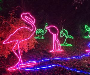 Park iluminacji w Lublinie