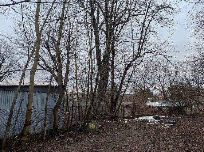 Zwłoki kobiety znalezione przy domu zakonnym. Siostry czuły fetor, szokujące zeznania sąsiadki