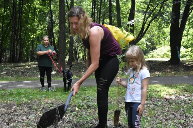 Park Śląski: AKCJA 1327 DRZEW
