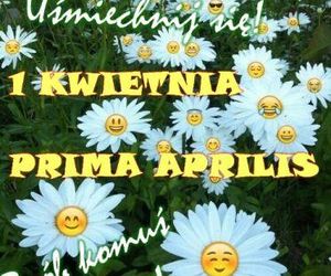 Kartki i grafiki na Prima Aprilis 2025. Pobierz za darmo i świętuj 1 kwietnia z humorem!