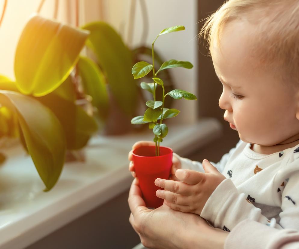 Dziecko orchidea czuje mocniej. Usłysz, jak możesz pomóc mu się rozwijać