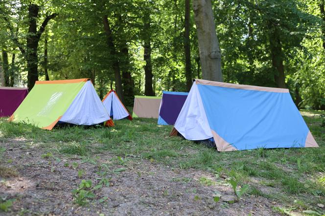 „Alfabet” rozgościł się w Ogrodzie Saskim w Lublinie