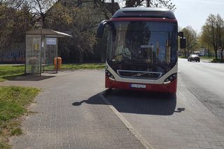 ​Jest konkurs na dyrektora Miejskiego Zakładu Komunikacji w Lesznie. Tyle będzie zarabiać