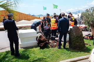 Dramat na festiwalu w Cannes! Producent uderzony przez palmę trafił do szpitala