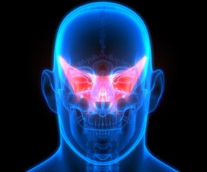 Kość klinowa - budowa, funkcje