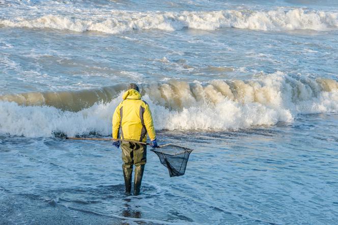 Rusz na połów bursztynu
