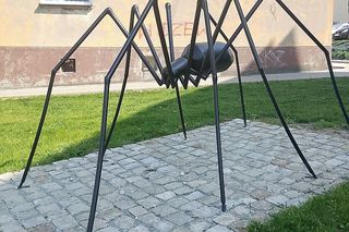 Najbiedniejsze miasto powiatowe w Łódzkiem. W rankingu zamożności znalazło się na szarym końcu