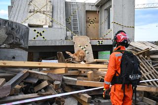 W Gdańsku trwają ćwiczenia grup poszukiwawczo-ratowniczych z całego kraju.