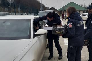 Podkarpacka KAS pomaga uchodźcom z Ukrainy. Służbowo i poza służbą [ZDJĘCIA]