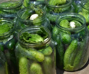 Świeże małosolne nawet w zimie? Z tym genialnym przepisem zatrzymasz fermentację