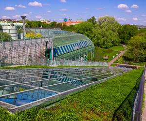 Dach zielony Biblioteki Uniwersytetu Warszawskiego