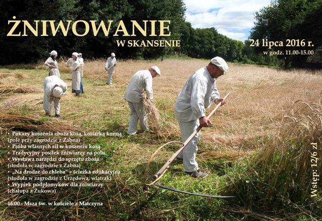 ŻNIWOWANIE W SKANSENIE