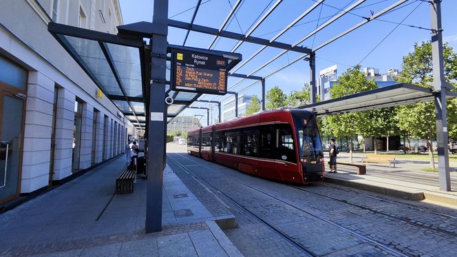 Katowice jak patelnia. Obowiązuje ruch cieniostronny. Nawet gołębie chowają się w cieniu