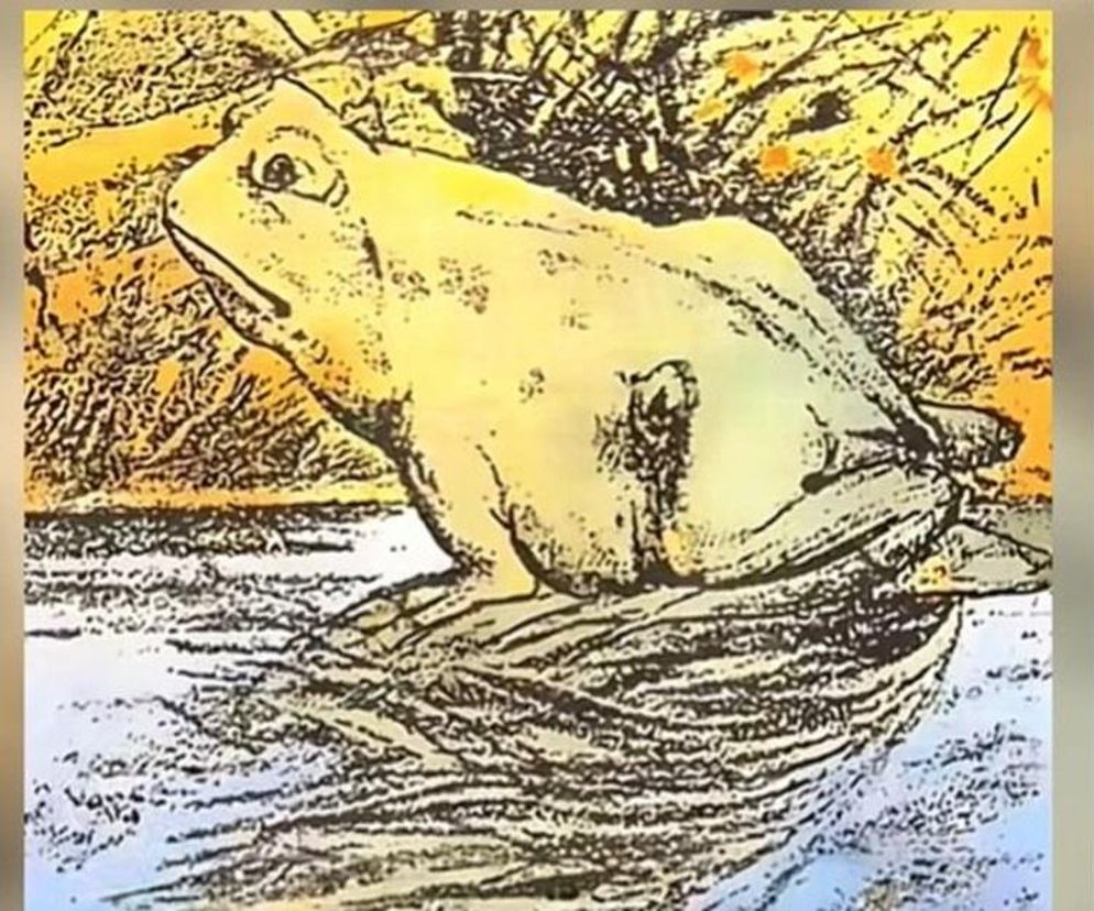 Test obrazkowy na osobowość