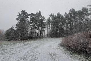 Zima zawitała na Warmię i Mazury. Spadł pierwszy śnieg! [FOTO]