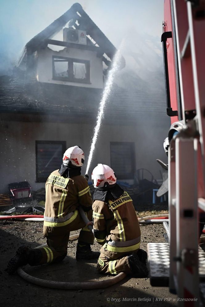 Pożar Wilczej Jamy w Bieszczadach