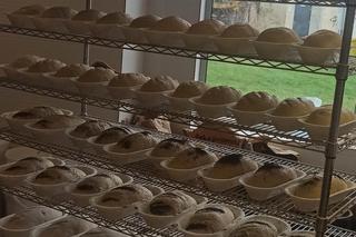 Właściciel zdradził nam tajniki swojej pracy