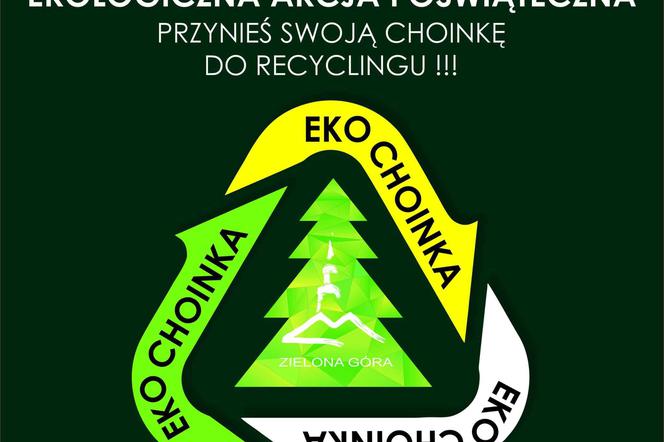 Eko Choinka