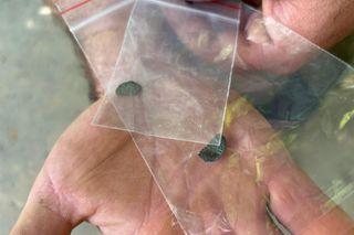 Prace archeologiczne przy ruinach zamku w Nowym Sączu 