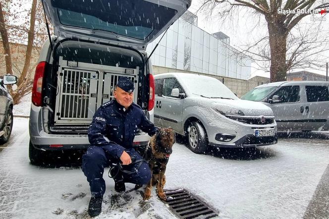 Policjant odchodzi na emeryturę wraz ze swoim psem