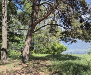 To jezioro w Olsztynie ma niezwykle czystą wodę. Jest kilka dzikich plaż, które świecą pustkami